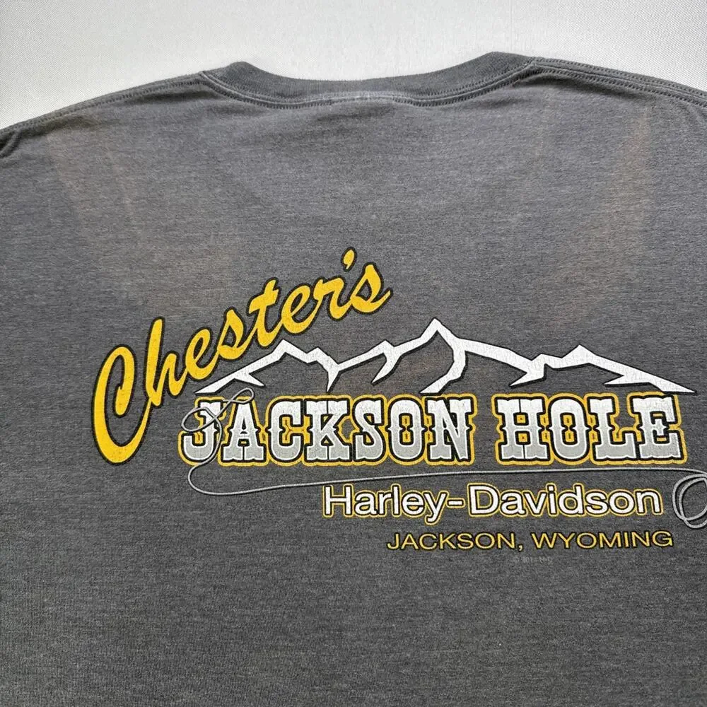 Harley-Davidson Motorcycle Chester’s Jackson Hole WY Graphic T-Shirt Gray XL LS